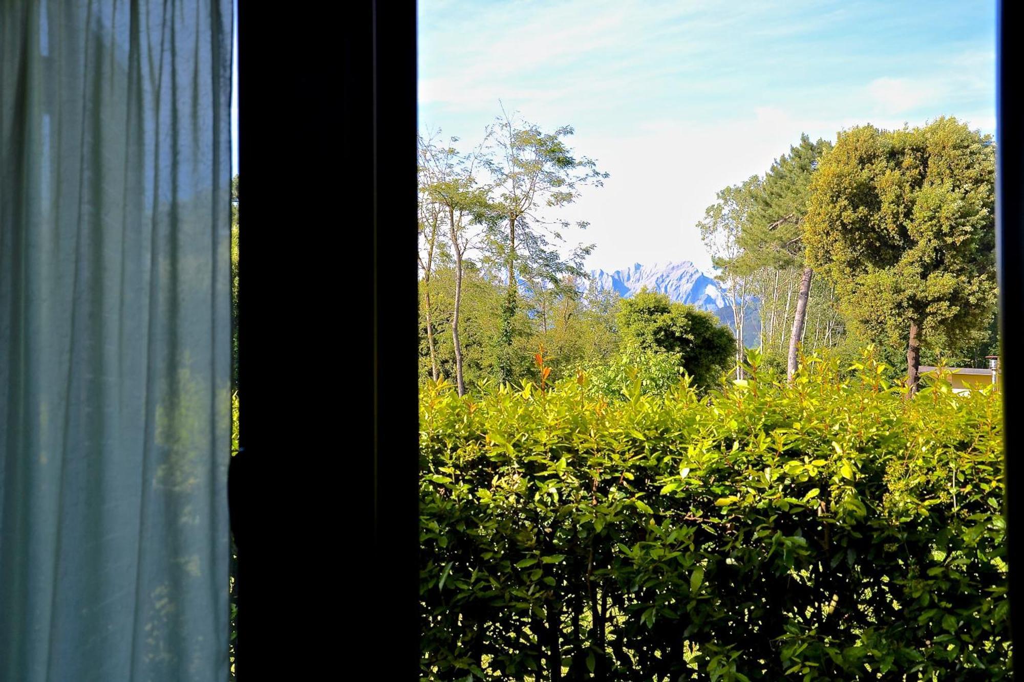Hotel Villa Elsa Marina di Massa Eksteriør billede